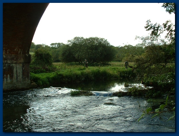 600x449 pixels (139K)